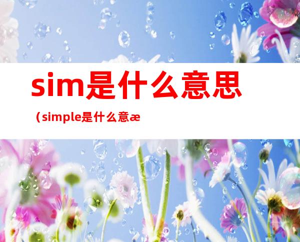 sim是什么意思（simple是什么意思）