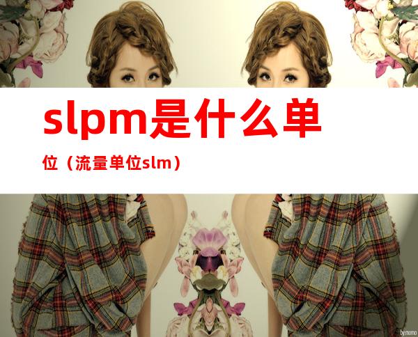slpm是什么单位(流量单位slm)