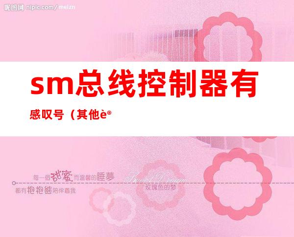 sm总线控制器有感叹号(其他设备sm总线控制器有感叹号)