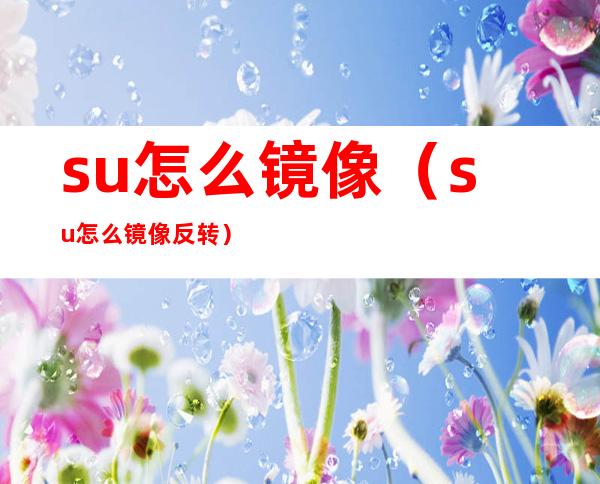 su怎么镜像(su怎么镜像反转)