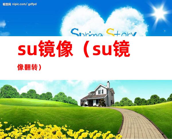 su镜像（su镜像翻转）