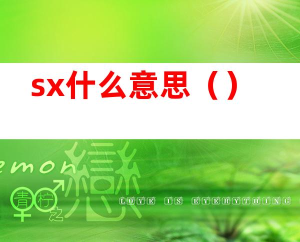 sx什么意思()