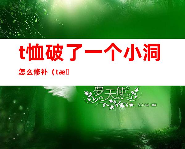 t恤破了一个小洞怎么修补(t恤破了小洞怎么补救)