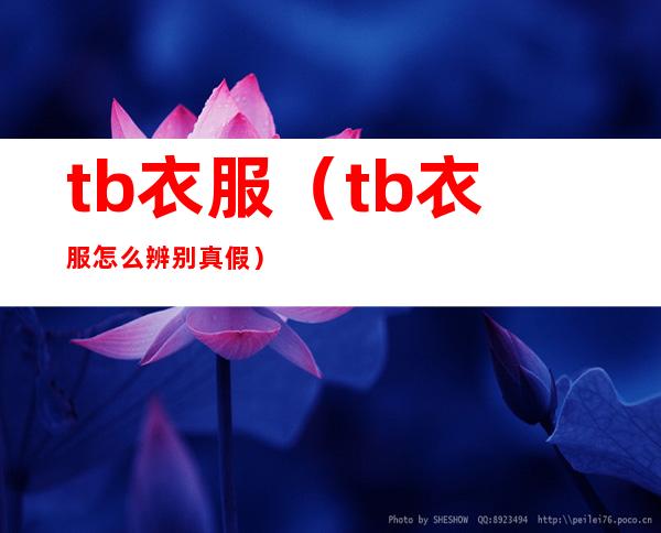 tb衣服(tb衣服怎么辨别真假)
