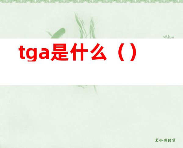 tga是什么()