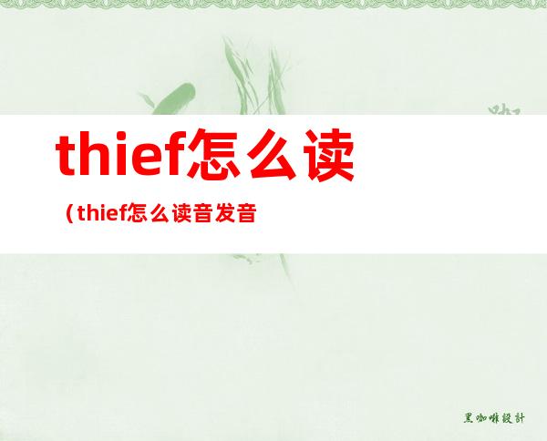 thief怎么读（thief怎么读音发音用汉语怎么说）