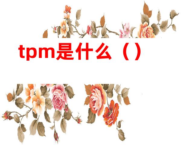 tpm是什么()