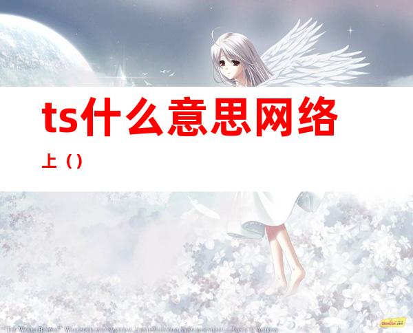 ts什么意思网络上()