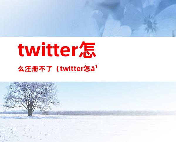 twitter怎么注册不了(twitter怎么注册不了加速器)