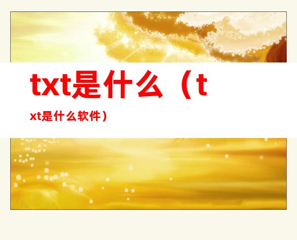 txt是什么(txt是什么软件)
