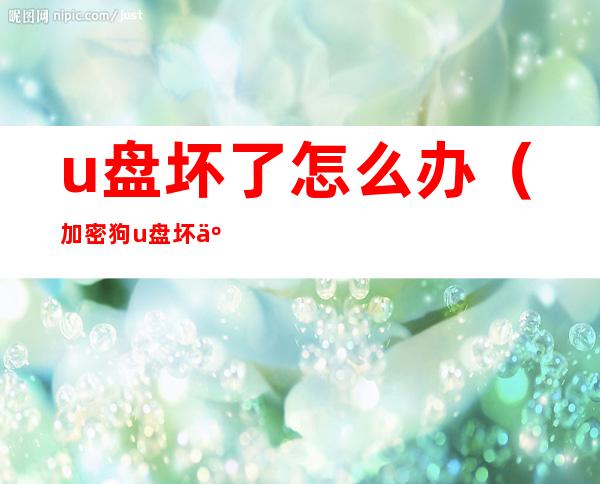 u盘坏了怎么办(加密狗u盘坏了怎么办)
