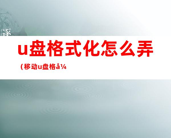 u盘格式化怎么弄(移动u盘格式化怎么弄)