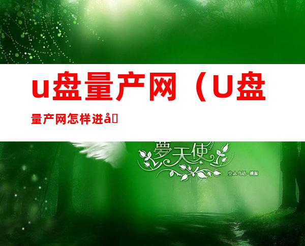 u盘量产网（U盘量产网怎样进入）