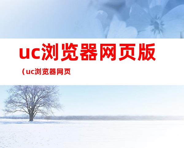 uc浏览器网页版(uc浏览器网页版体验)