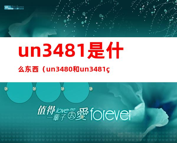 un3481是什么东西(un3480和un3481的区别)