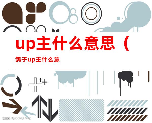 up主什么意思(鸽子up主什么意思)