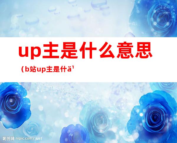 up主是什么意思(b站up主是什么意思)