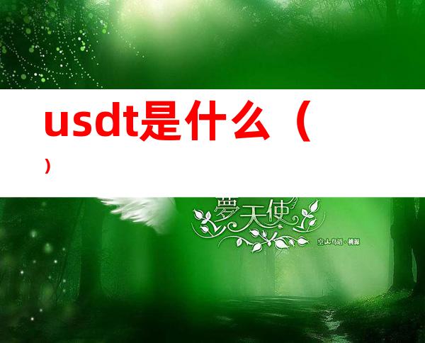usdt是什么（）