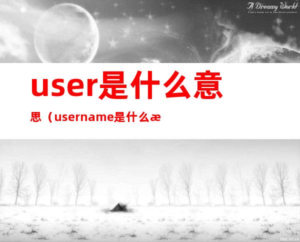 user是什么意思（username是什么意思中文）