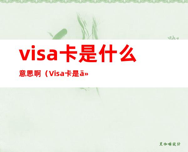 visa卡是什么意思啊(Visa卡是什么)
