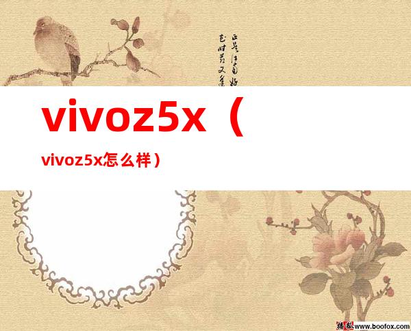 vivoz5x（vivoz5x怎么样）