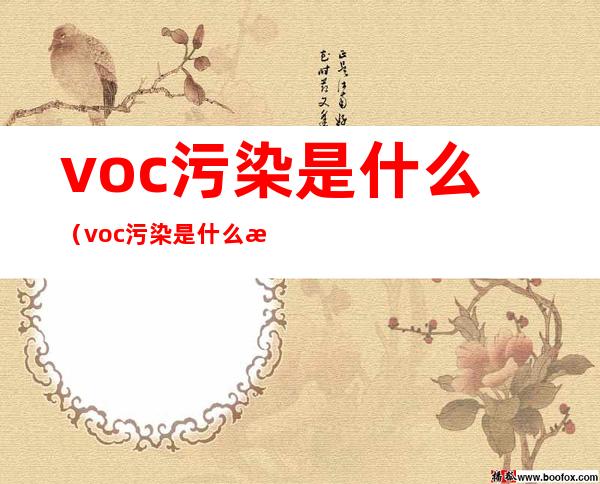 voc污染是什么(voc污染是什么意思)