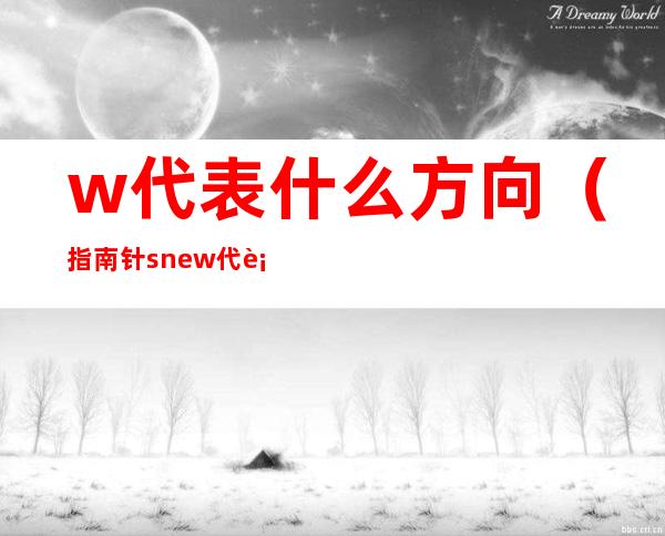w代表什么方向(指南针snew代表什么方向)