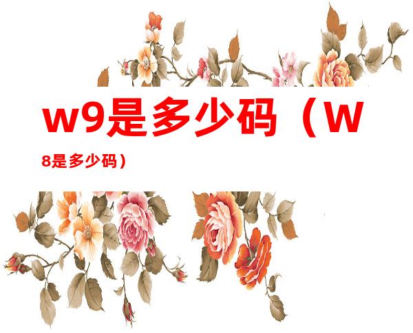 w9是多少码(W8是多少码)