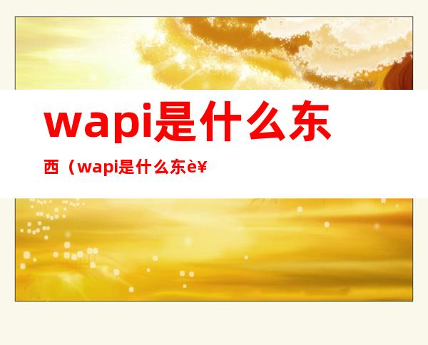 wapi是什么东西(wapi是什么东西苹果需要开启吗)