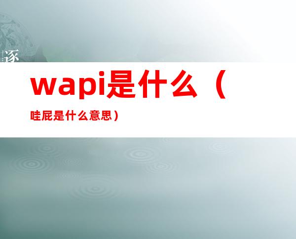 wapi是什么(哇屁是什么意思)