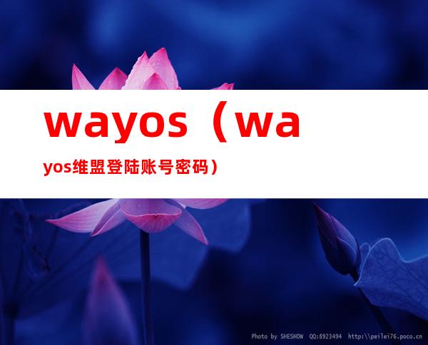 wayos(wayos维盟登陆账号密码)