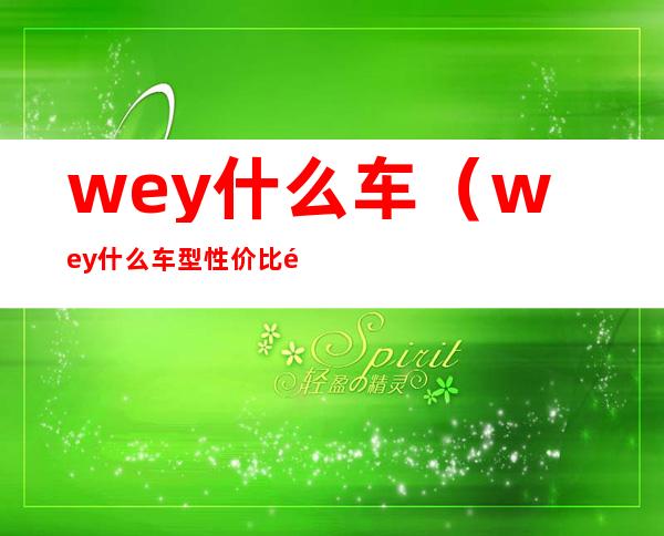 wey什么车（wey什么车型性价比高）