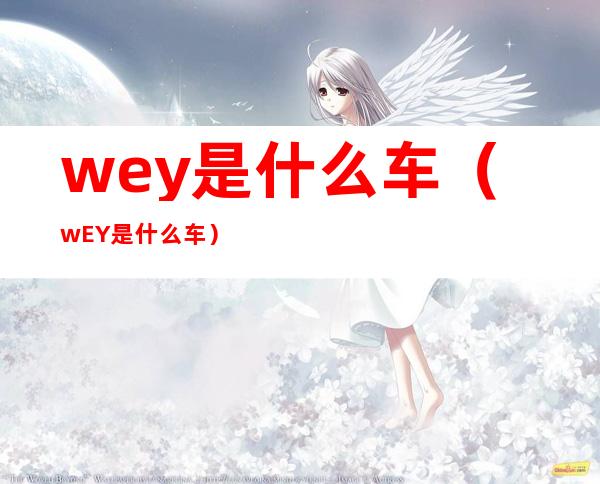 wey是什么车(wEY是什么车)