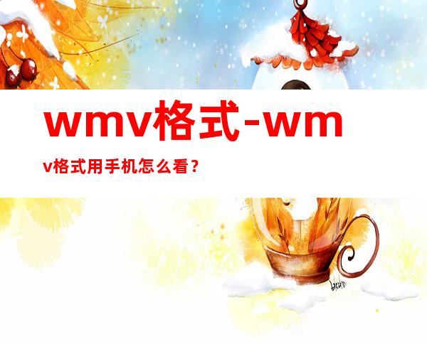 wmv格式-wmv格式用手机怎么看?