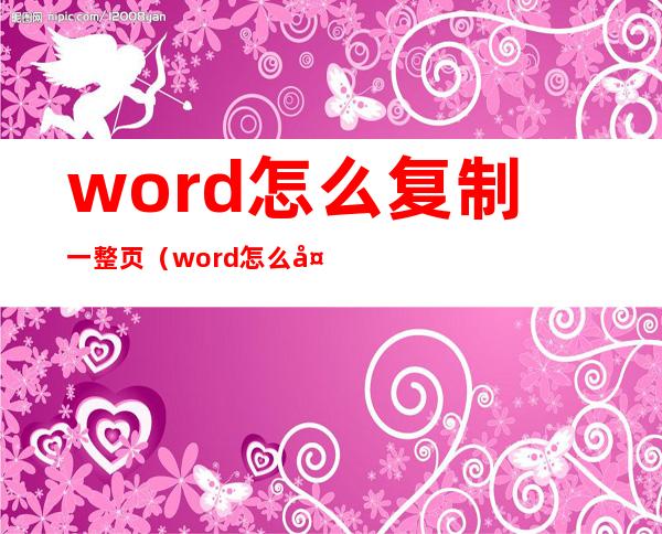 word怎么复制一整页(word怎么复制一整页包括页眉页脚)