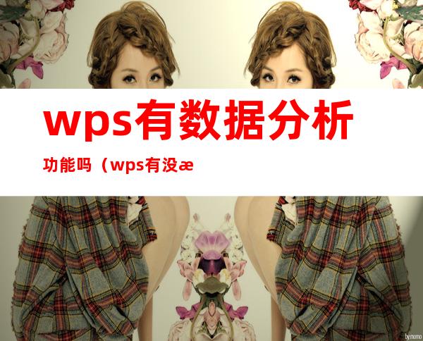 wps有数据分析功能吗（wps有没有数据分析功能）