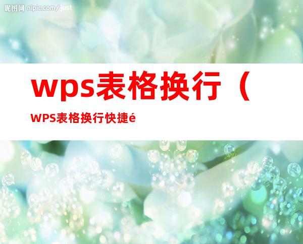 wps表格换行（WPS表格换行快捷键是哪个）