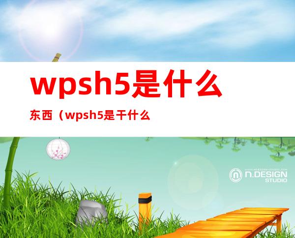 wpsh5是什么东西(wpsh5是干什么的电脑)