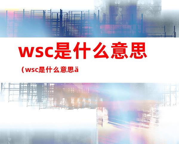 wsc是什么意思(wsc是什么意思乔任梁)