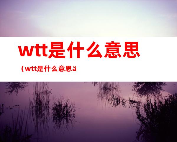 wtt是什么意思(wtt是什么意思中文)