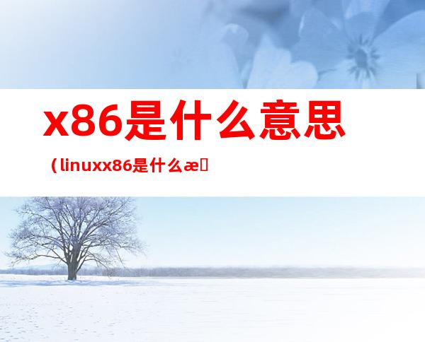 x86是什么意思(linux x86是什么意思)
