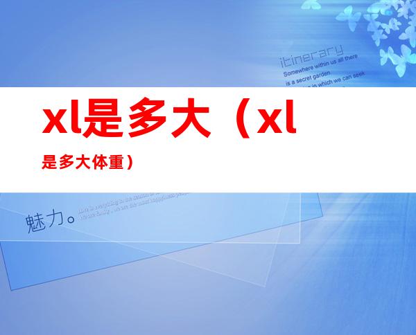 xl是多大(xl是多大体重)