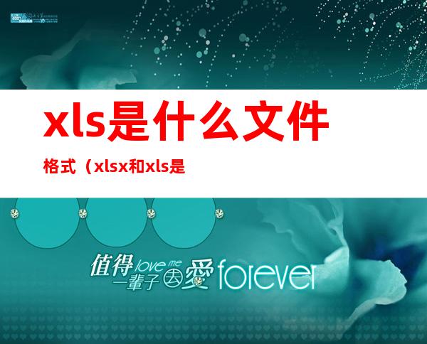 xls是什么文件格式(xlsx和xls是什么格式的文件)