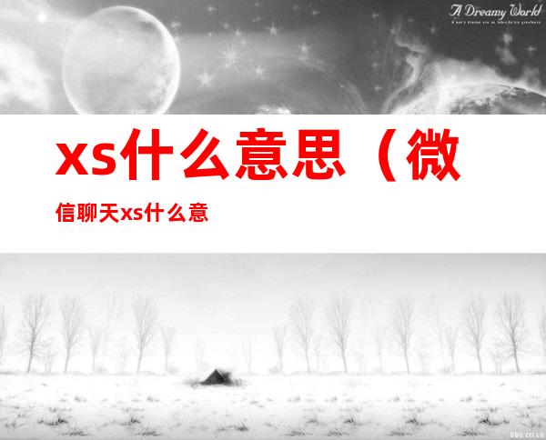 xs什么意思(微信聊天xs什么意思)