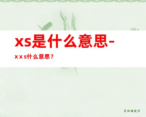 xs是什么意思-xⅹs什么意思?