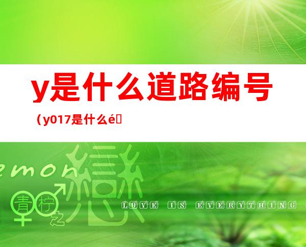 y是什么道路编号(y017是什么道路编号)