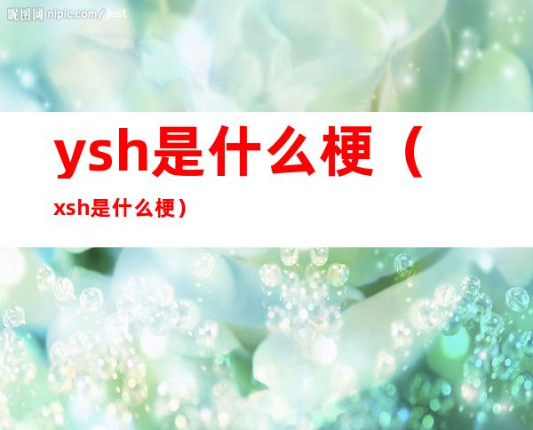 ysh是什么梗(xsh 是什么梗)