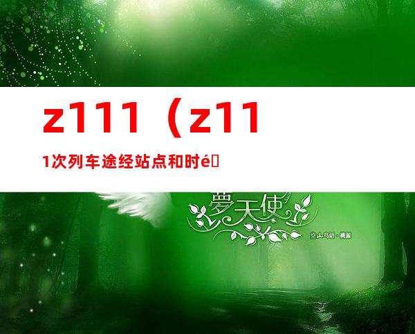 z111（z111次列车途经站点和时间）