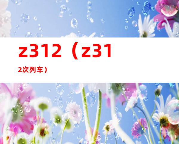 z312(z312次列车)