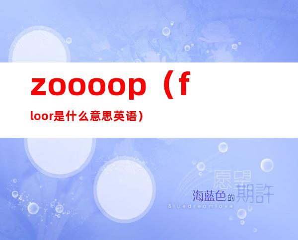 zoooop（floor是什么意思英语）